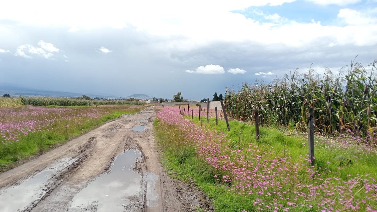 Terreno en venta en San Miguel Totocuitlapilco, Metepec — foto 1 de 5