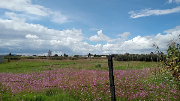 Terreno en venta en San Miguel Totocuitlapilco, Metepec — foto 2 de 5