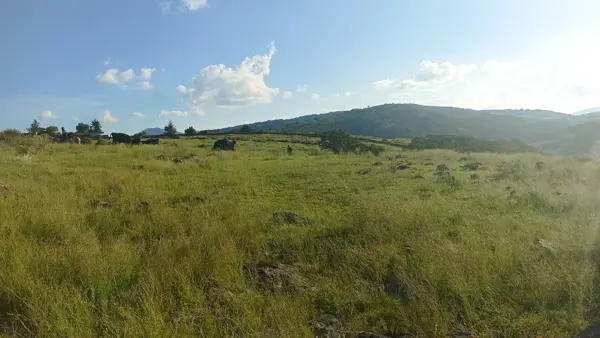 Terreno en venta en Santa María Nativitas, Aculco — foto 2 de 24