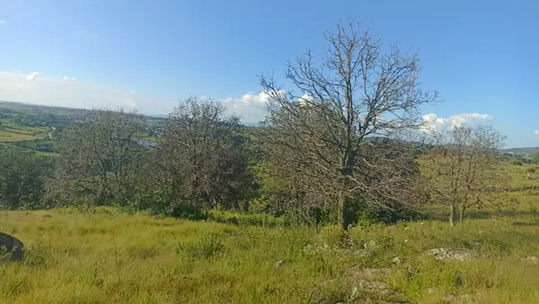 Terreno en venta en Santa María Nativitas, Aculco — foto 3 de 24