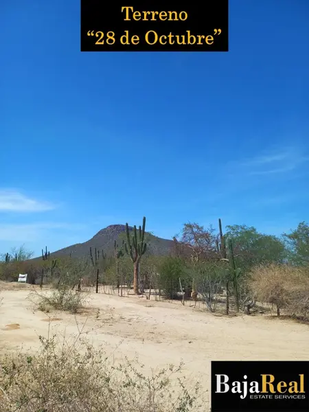Terreno en venta en 28 de Octubre (Kilómetro 6), La Paz — foto 3 de 16