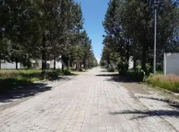 Terreno en venta en San Lucas Nextetelco, Juan C. Bonilla — foto 2 de 6