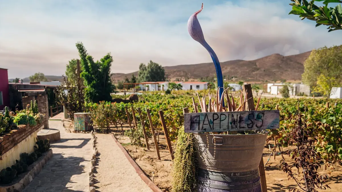 Terreno en venta en Francisco Zarco (Valle de Guadalupe), Ensenada — foto 1 de 15