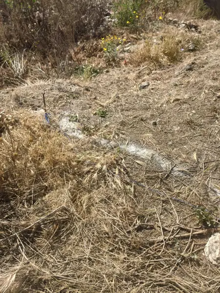 Terreno en venta en Maneadero, Ensenada — foto 3 de 10