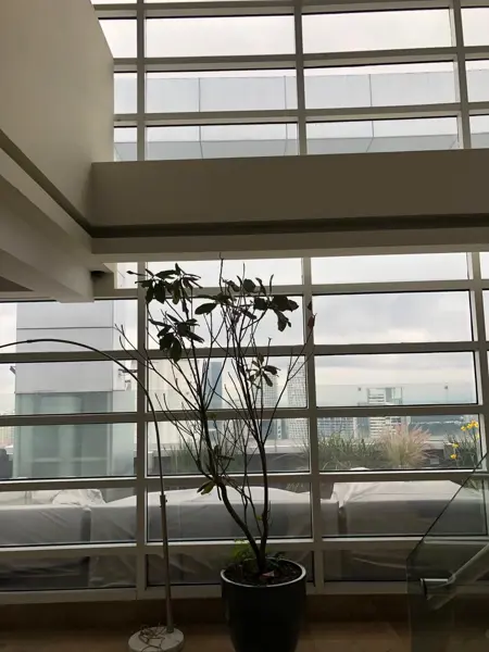 Departamento en renta en Santa Fe Cuajimalpa, Cuajimalpa de Morelos — foto 3 de 32