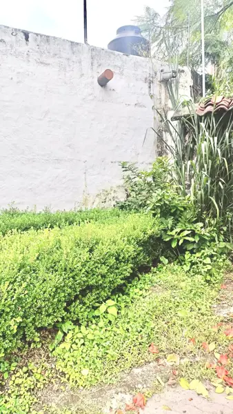 Terreno en venta en Las Fincas, Jiutepec — foto 2 de 11