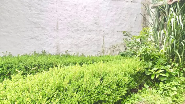 Terreno en venta en Las Fincas, Jiutepec — foto 3 de 11