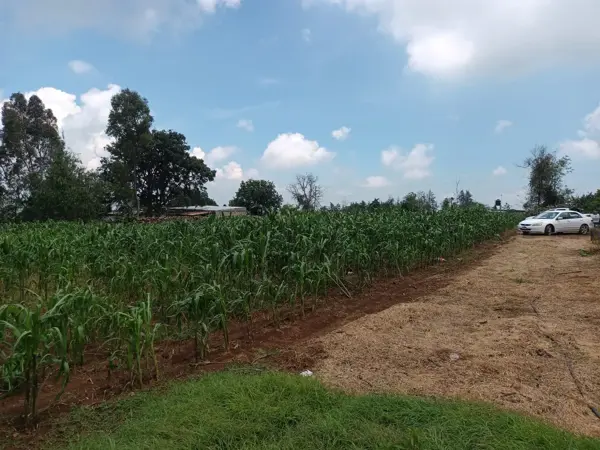 Terreno en venta en San Miguel Dehetí, Amealco de Bonfil — foto 2 de 20