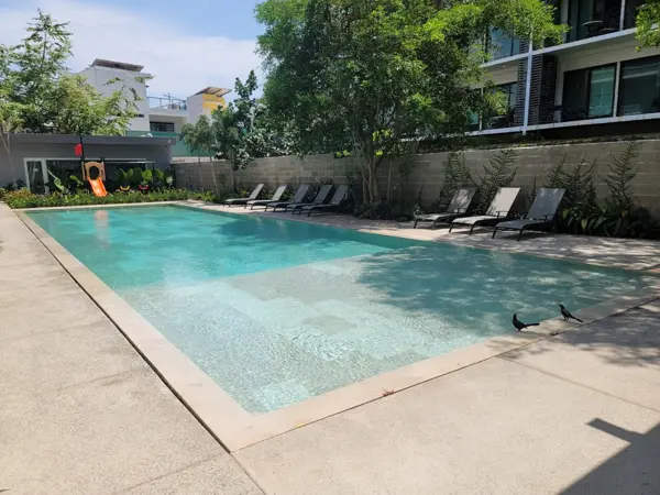 Departamento en renta en El Palmar de Aramara, Puerto Vallarta — foto 3 de 16