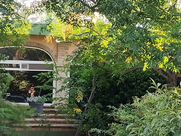 Casa en venta en San Isidro de las Palomas, Arteaga — foto 3 de 24