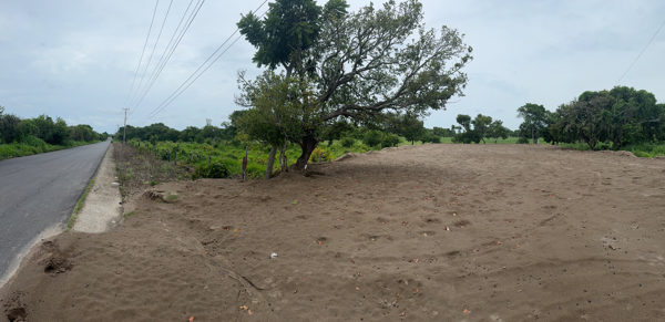 Terreno en venta en El Zapote, Alvarado — foto 3 de 3