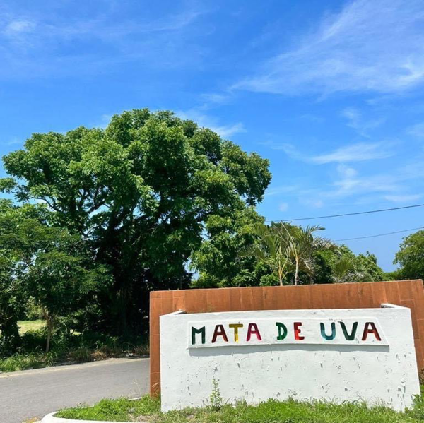 Terreno en venta en Anton Lizardo, Alvarado — foto 2 de 6