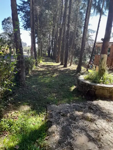 Finca-Rancho en venta en Xico, Xico — foto 3 de 28