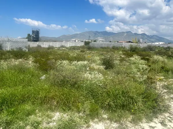 Terreno en venta en Arteaga Centro, Arteaga — foto 3 de 4
