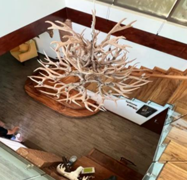 Casa en venta en Colinas de San Miguel, Culiacán — foto 3 de 7