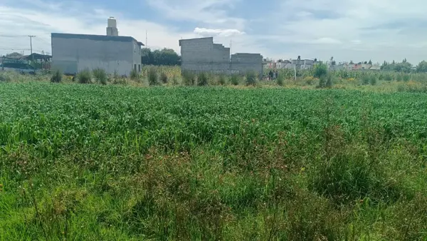 Terreno en venta en La Concepción Coatipac (La Conchita), Calimaya — foto 3 de 4