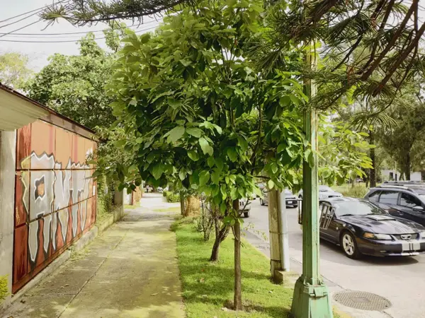 Terreno en venta en Ciudad Satelite, Naucalpan de Juárez — foto 2 de 5