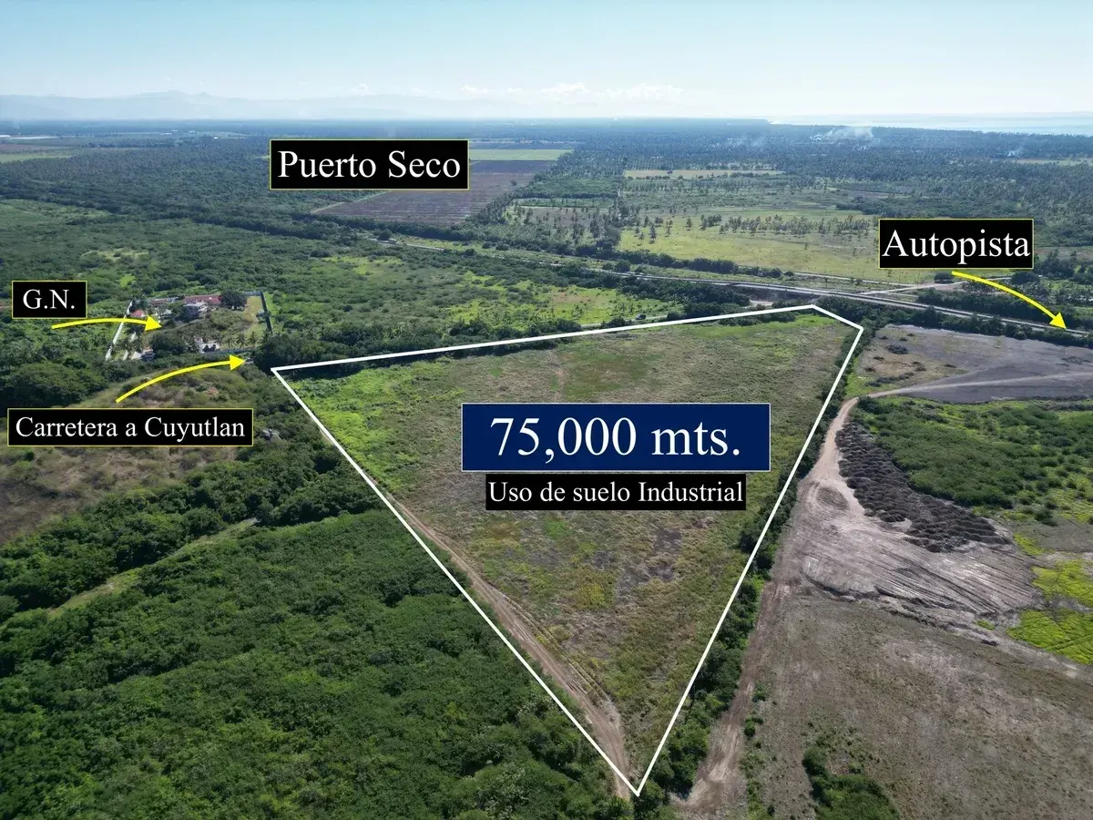 Terreno en venta en Armeria Centro, Armería — foto 1 de 8
