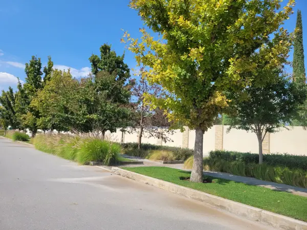 Terreno en venta en Punta Bosque, Saltillo — foto 2 de 21