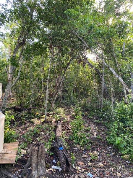 Terreno en venta en Tumben Kaa, Tulum — foto 3 de 31