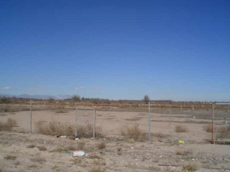 Terreno en Renta en Matamoros, Matamoros, Coahuila de Zaragoza