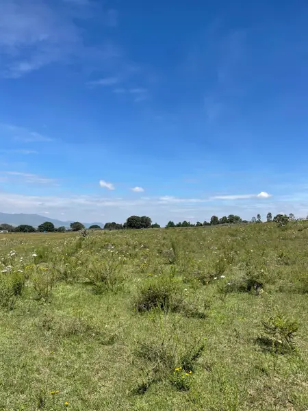 Finca-Rancho en venta en San Miguel Dehetí, Amealco de Bonfil — foto 3 de 33