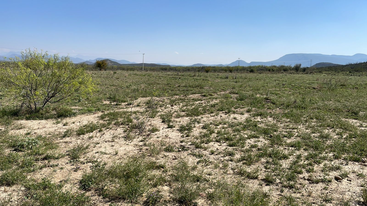 Finca-Rancho en venta en Higo (La Norita), Ramos Arizpe — foto 1 de 7