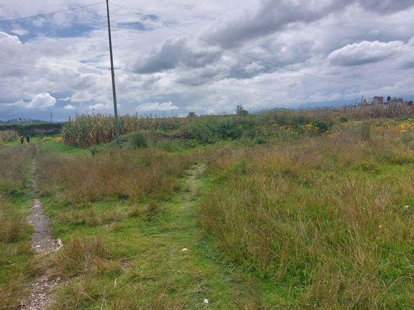 Terreno en venta en San Miguel Totocuitlapilco, Metepec — foto 3 de 3