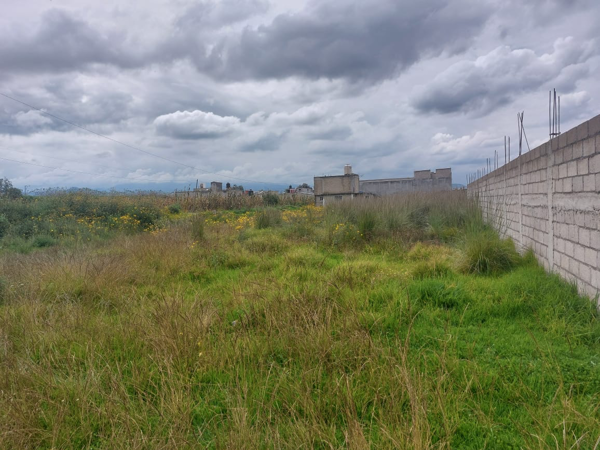 Terreno en venta en San Miguel Totocuitlapilco, Metepec — foto 2 de 3