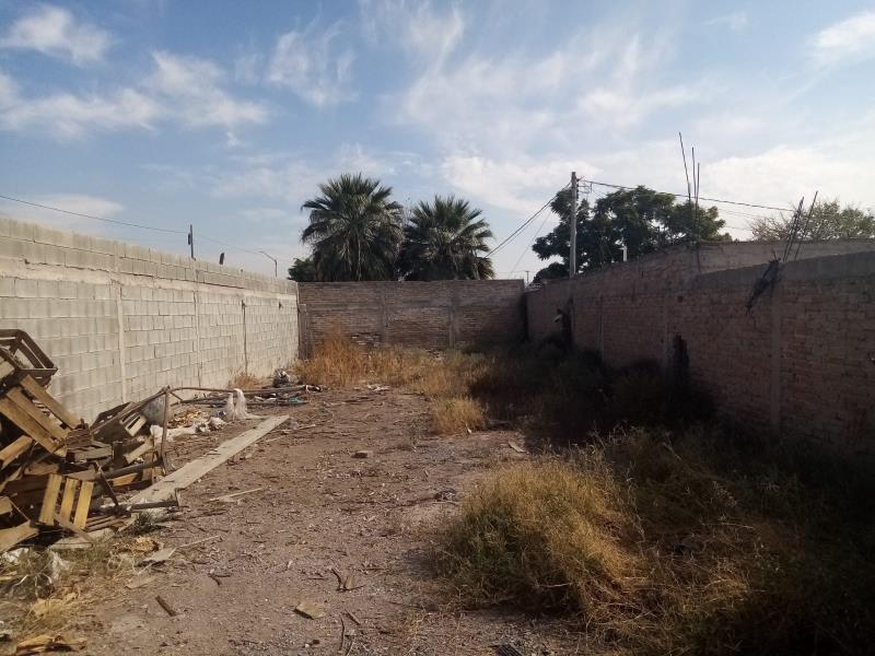 Terreno en Renta en Nogales, Gómez Palacio, Durango