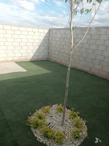 Casa en venta en Loma Real, Torreón — foto 2 de 12