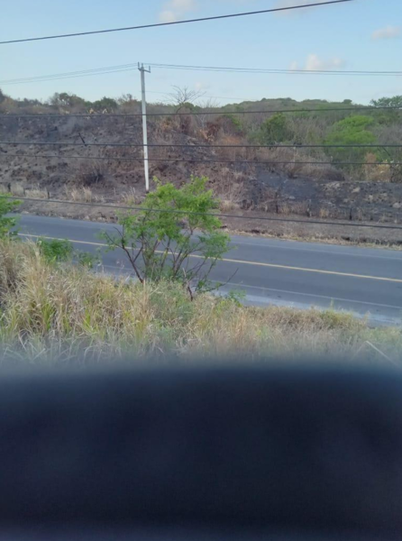Finca-Rancho en venta en Alvarado Centro, Alvarado — foto 2 de 11