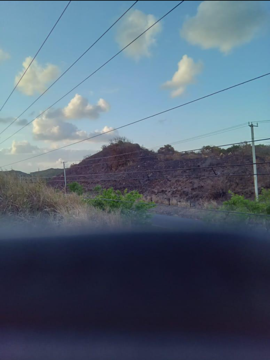 Finca-Rancho en venta en Alvarado Centro, Alvarado — foto 1 de 11