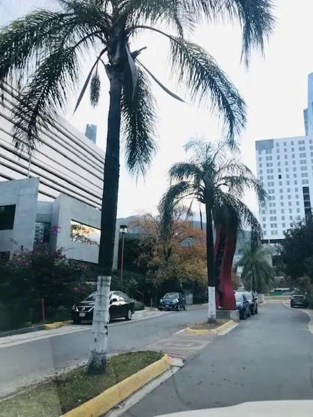 Oficina en renta en Del Valle Oriente, San Pedro Garza García — foto 2 de 12