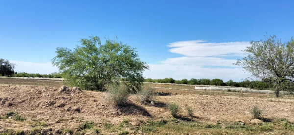 Terreno en venta en El Sacrificio, Matamoros — foto 2 de 4
