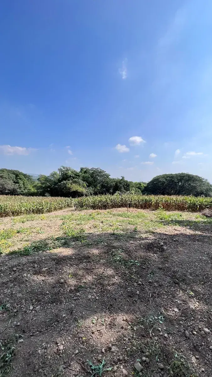 Terreno en venta en El Chivato (Providencia), Villa de Álvarez — foto 1 de 11