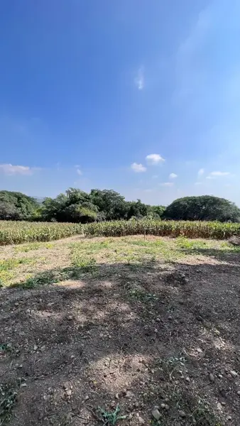 Terreno en venta en El Chivato (Providencia), Villa de Álvarez, Colima Terreno en venta en El Chivato (Providencia), Villa de Álvarez, Colima