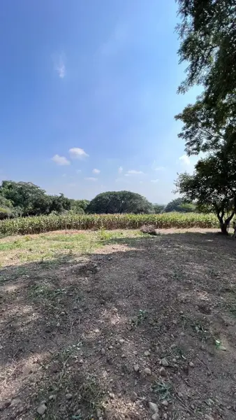 Terreno en venta en El Chivato (Providencia), Villa de Álvarez — foto 2 de 11