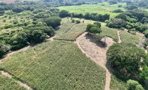 Terreno en venta en El Chivato (Providencia), Villa de Álvarez — foto 3 de 11