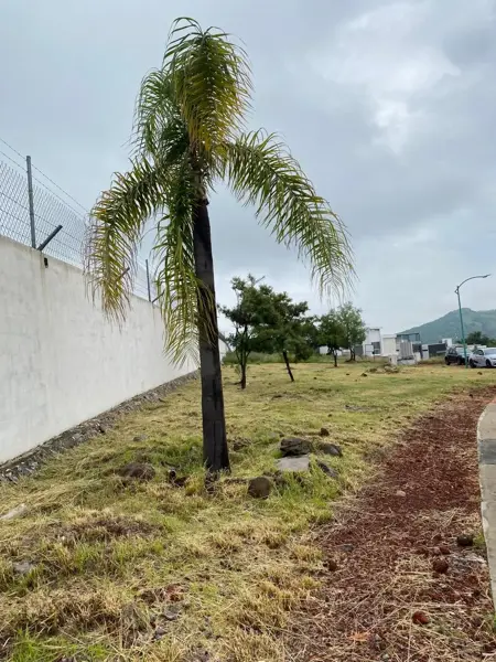 Terreno en venta en Sabino Chico, San Juan del Río — foto 2 de 15