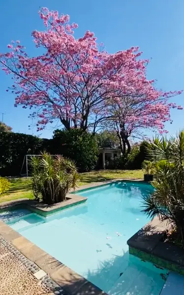 Casa en venta en San Jerónimo, Cuernavaca — foto 2 de 34