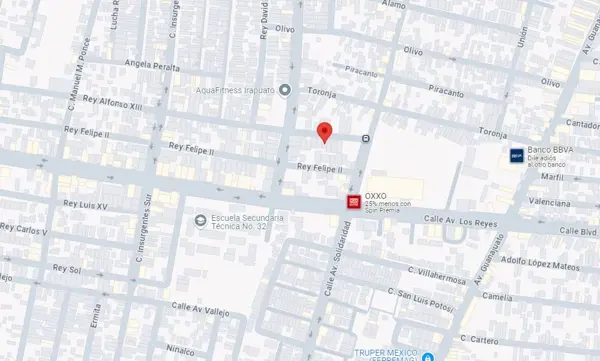 Casa en venta en Los Reyes, Irapuato — foto 2 de 10