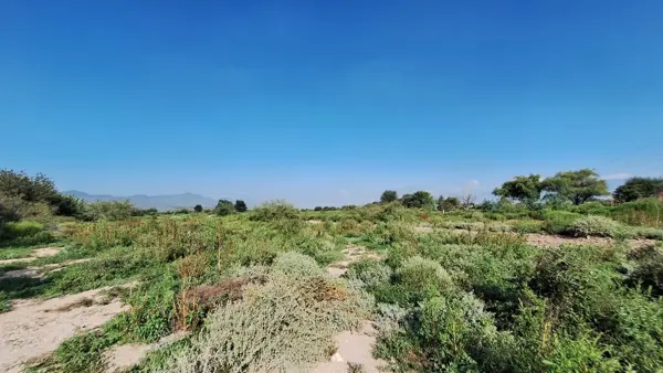 Terreno en venta en Mesón del Norte, Ramos Arizpe — foto 2 de 4