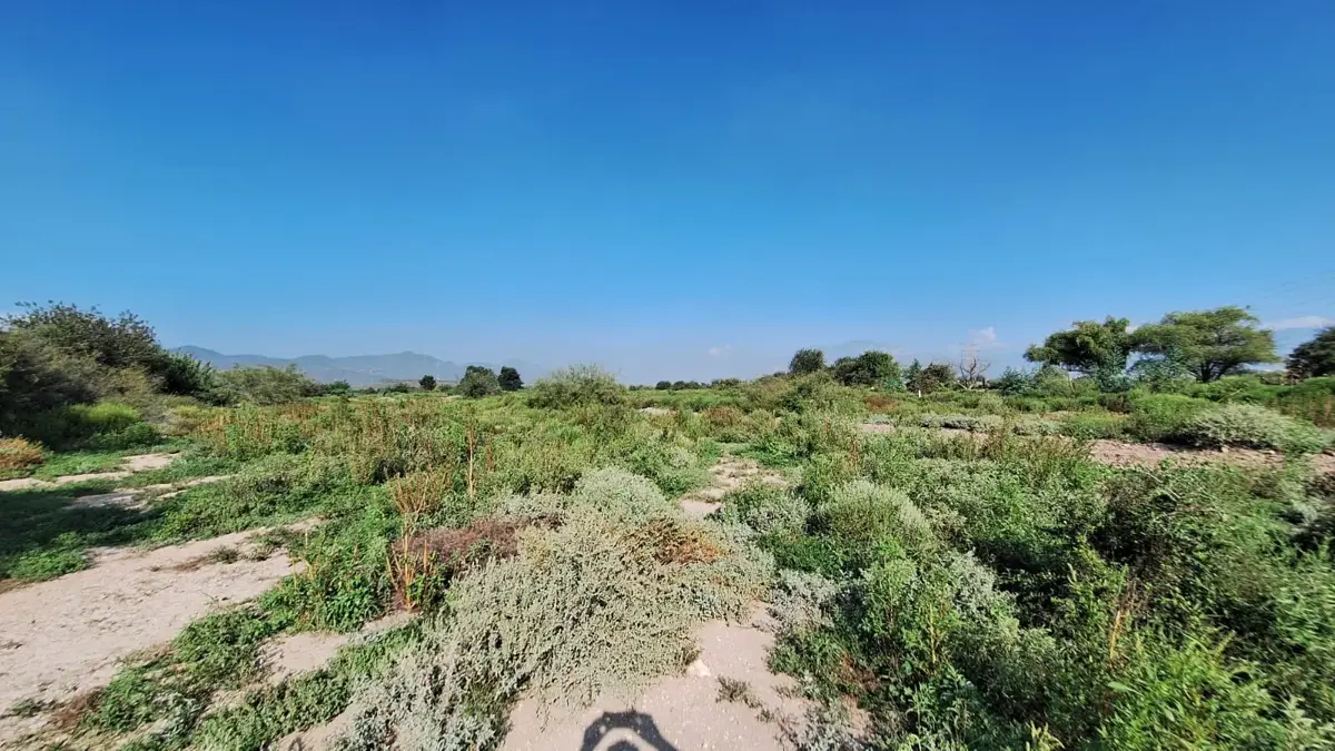 Terreno en venta en Mesón del Norte, Ramos Arizpe — foto 1 de 4
