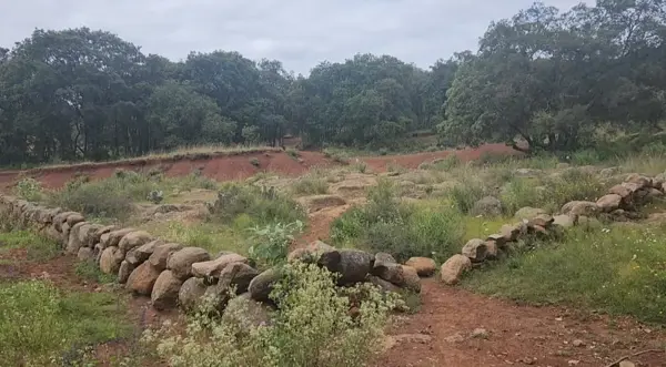 Terreno en venta en San Juan Acazuchitlán (San Juanico), Jilotepec — foto 2 de 17