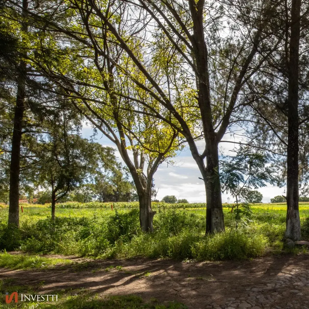Terreno en venta en Cañadas del Lago, Corregidora — foto 1 de 8