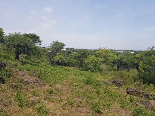 Terreno en venta en Tlayacapan Centro, Tlayacapan — foto 2 de 6