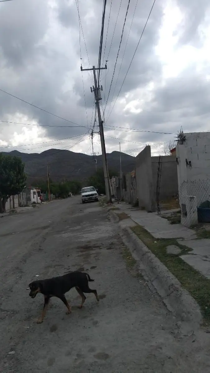 Casa en venta en Colinas de Santiago, Monclova — foto 1 de 11