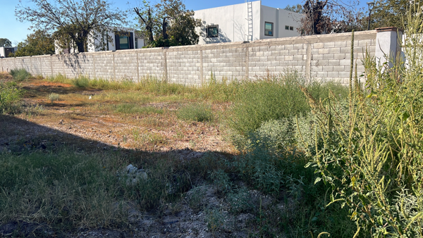 Terreno en venta en Las Trojes, Torreón — foto 3 de 3