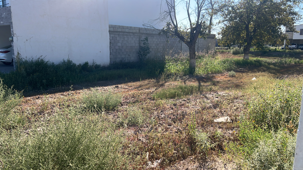 Terreno en Venta en Las Trojes, Torreón, Coahuila de Zaragoza